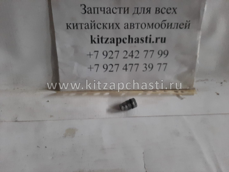 Клапан редукционный сброса давления топлива (рампы) Валдай Cummins Евро 3 дв. ISF 3.8  1110010028 Bosch