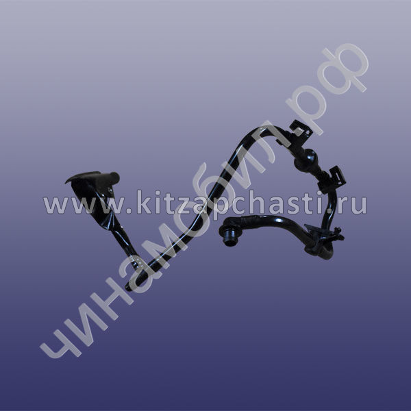 Трубка вакуумного усилителя Chery Tiggo 7 Pro MAX 2024 204001809AB