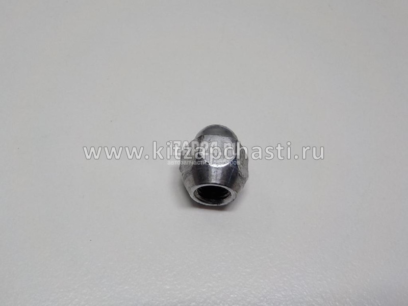 Гайка крепления колеса Changan Eado Plus  C2010570300