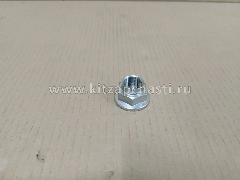 Стопорная гайка привода Changan UNI-S CD569F2501010201