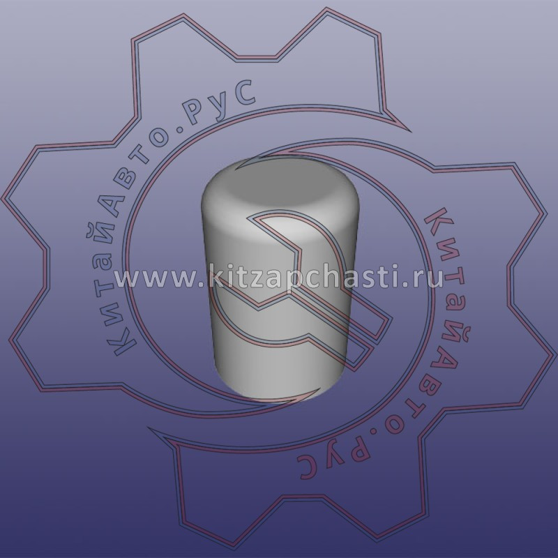 Заглушка гбц EXEED VX D4D201003060